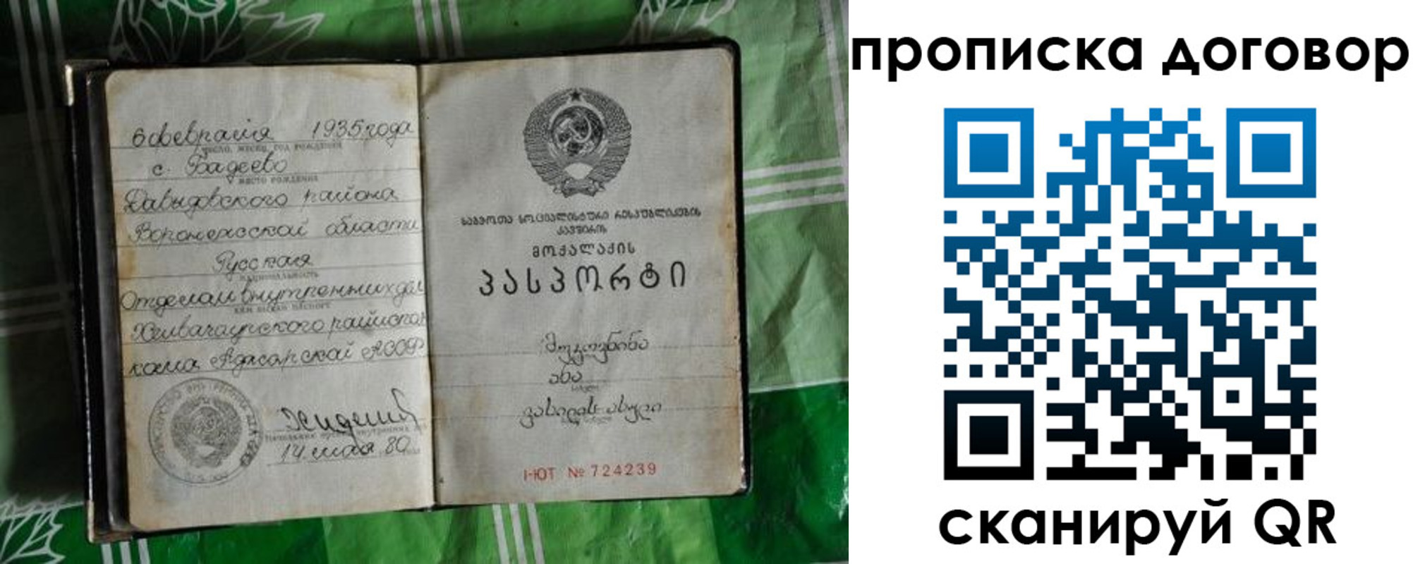 прописка в Тимашёвске